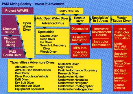 padi courses chart